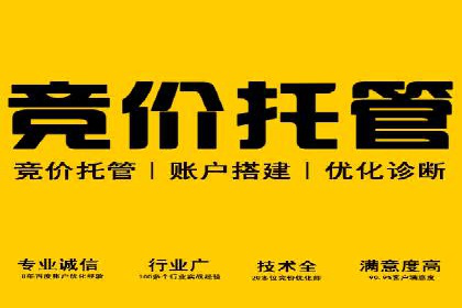 成功SEM搜索引擎优化案例，揭秘优化秘籍
